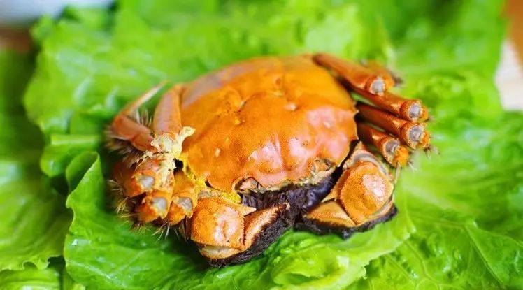 你的家乡在哪儿?为家乡特产投上一票吧!|石榴