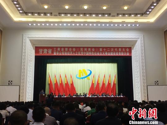 甘肃省民营企业经济总量_甘肃省地图