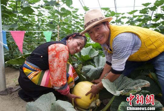 西藏日喀则234个贫困村脱贫|日喀则|西藏|摘帽