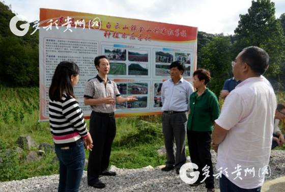 如何变成金山村?贵州这个驻村组长告诉你!
