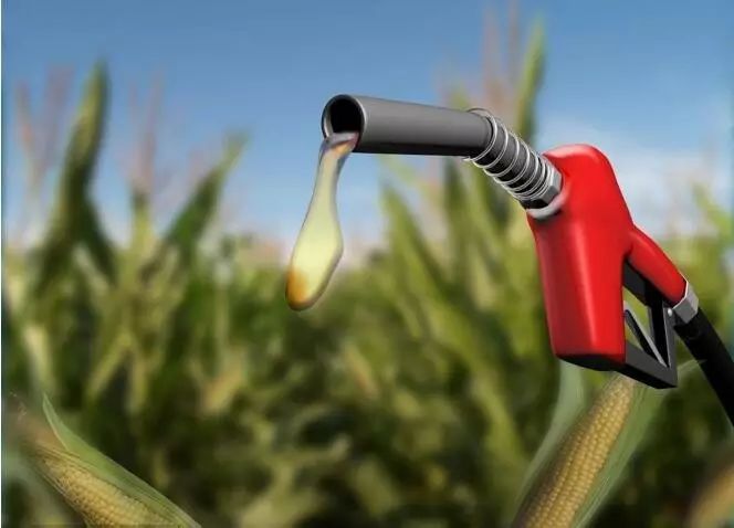 乙醇汽油会带来粮食安全问题?政府态度转变的