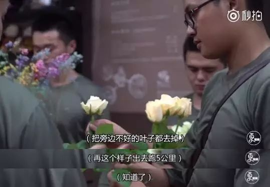 17个退伍军人开鲜花店，画面是这样的（视频）