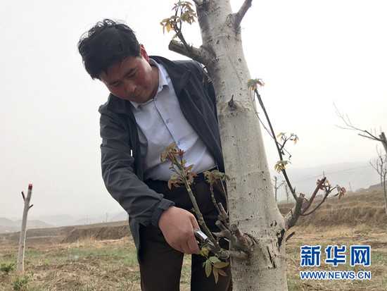 龚志荣:引领谋划扶贫攻坚新思路 精准帮扶祛