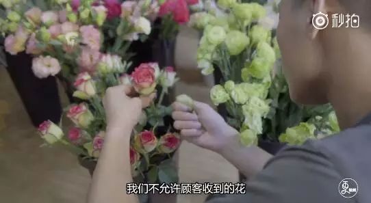 17个退伍军人开鲜花店，画面是这样的（视频）
