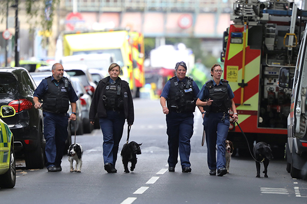 警察带着警犬在街上搜索 。  视觉中国 图