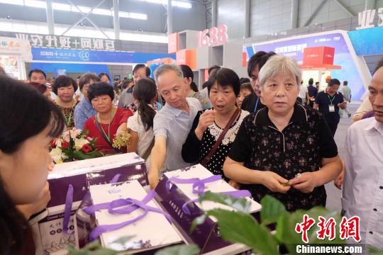 探访安徽农交会:互联网+现代农业受追捧(图)|现