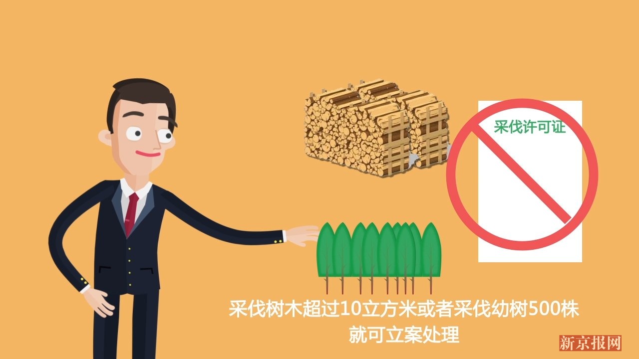 动画:福建一村民砍伐自家林木 为什么被判刑10个月?