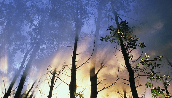 全国多数城市臭氧浓度总体缓慢上升 约7成在标