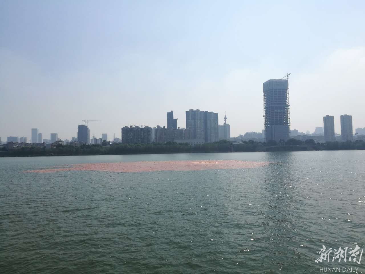 突发!长沙橘子洲东侧江心出现泥黄色涌流|橘子