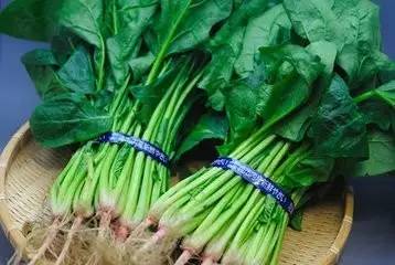 【健康】对眼睛最好的食物,记得让家人多吃!太