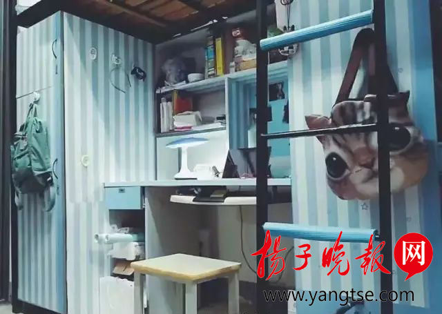 早起鸟 和 夜猫子 不干扰!南京大学按生活习惯