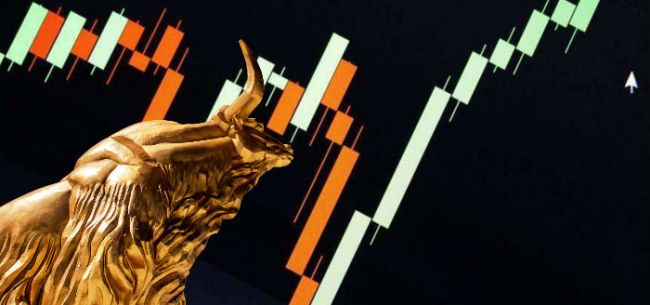 真相!705只基金持仓曝光:大幅加仓这10只个股