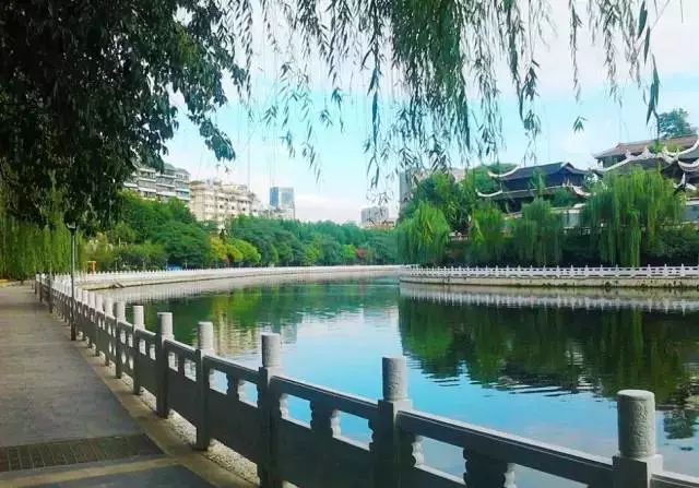 瞧瞧,你不知道这就是贵州的秋!|贵州|红枫湖|草海