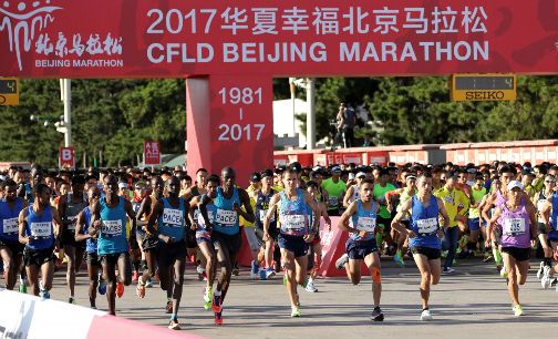 中国马拉松大满贯的旅游生意经|马拉松|北京马