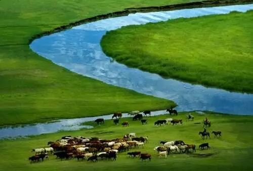 和孩子一起读诗 | 风吹草低见牛羊|羊|敕勒歌|牛_新浪新闻