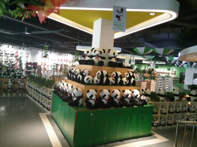 两只熊猫今天到达沈阳!已经在动物园吃竹子啦