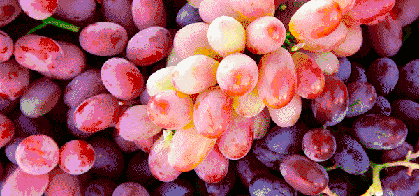 网上买水果进口的只要几块钱一斤?其实背后都