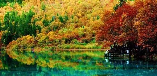 支付宝缴燃气费_拨缴经费收入(3)