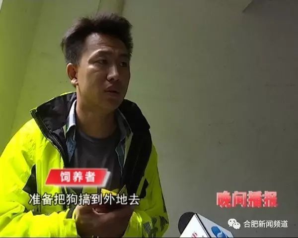 【真相】合肥经开某小区半夜传来狼叫声?小区