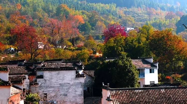 秋天安徽最值得去的几个地方,皖若仙境|黄山