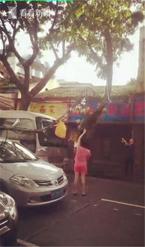 视频|电缆脱落道路受阻 女子用衣叉撑起了一条