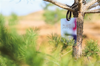 兴全基金:投1000万治沙扶贫 种下希望|基金|胡