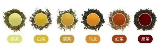 这就是差一个能召唤神龙的六大基本茶类。