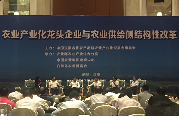 农业产业化龙头企业与农业供给侧结构性改革论