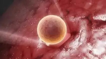 清华副校长施一公:生命科学认知的极限(深度好