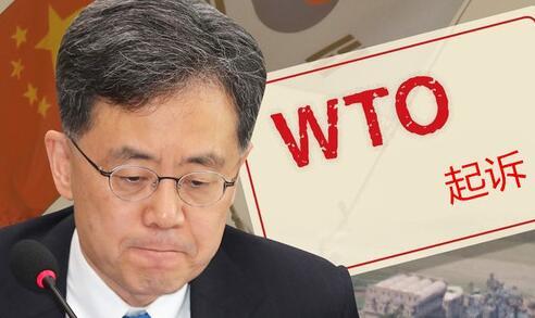 韩慎重考虑向WTO诉中国:损失挽不回 后果难承担