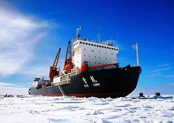 ����ѩ�����ſƿ���