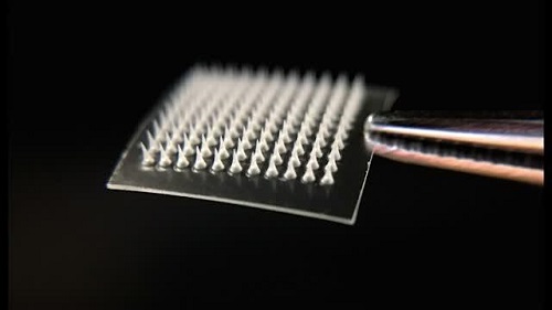 英媒:新型减肥贴可有效除赘肉|哥伦比亚大学|减