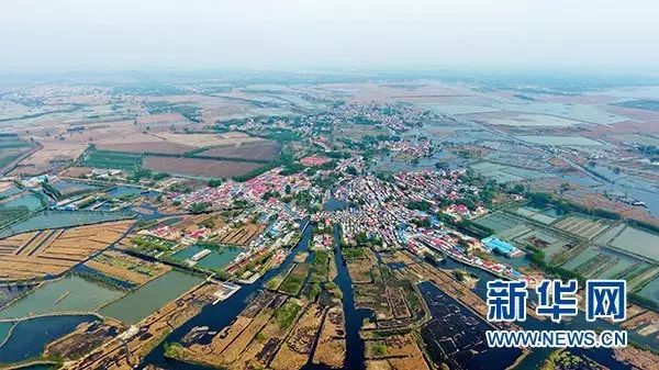 这是河北雄安新区白洋淀内的乡村(4月9日摄)。