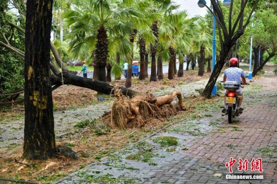 海南部门地域遇台风灾难 直接损失近5900万元