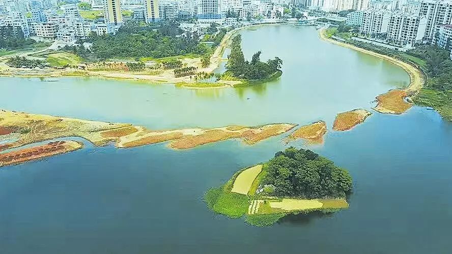 喜!海口美舍河被批准为国家级水利风景区!这样