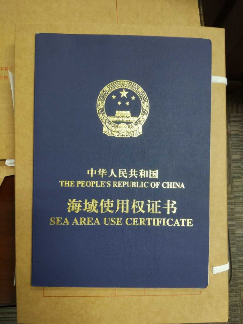 重大进展!东莞滨海湾新区首个填海项目取得海