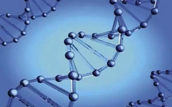 历史将选择转基因|转基因|达尔文|食品