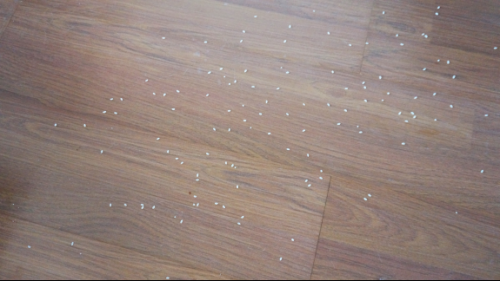 完美性能的再次升级 石头扫地机器人体验评测