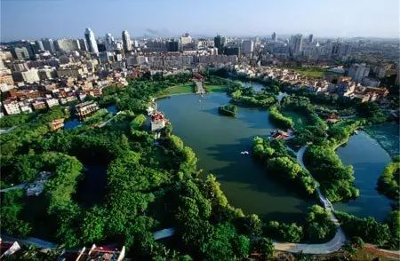 福州、泉州入围这个国字号评选!|绿地|森林|城市