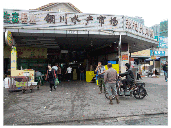 你最喜欢上海哪个区?来投票吧丨今日主角普陀