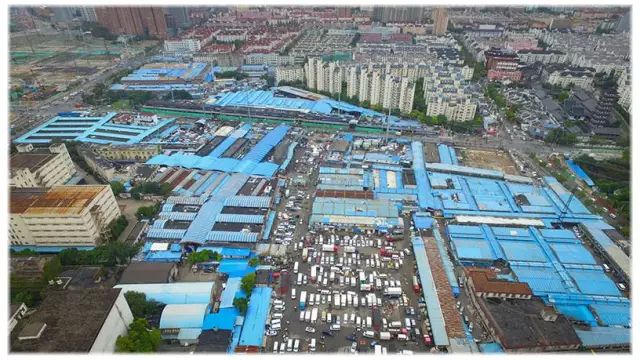 你最喜欢上海哪个区?来投票吧丨今日主角普陀