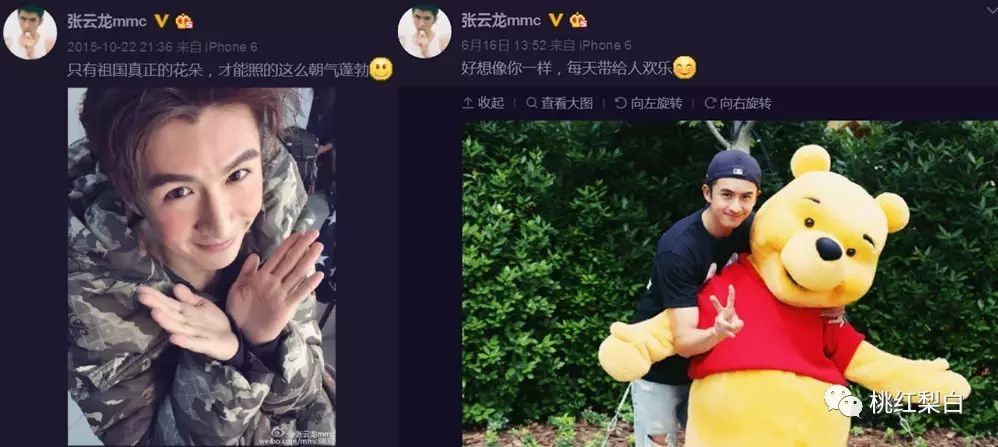 桃红梨白:选这位迷弟做同事,杨幂看中他什么|杨