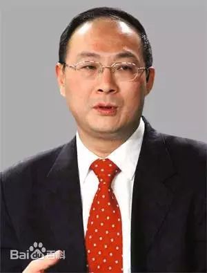 金灿荣