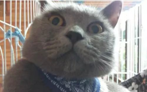 最担心的事情发生了!云南男子买辆二手车,竟被