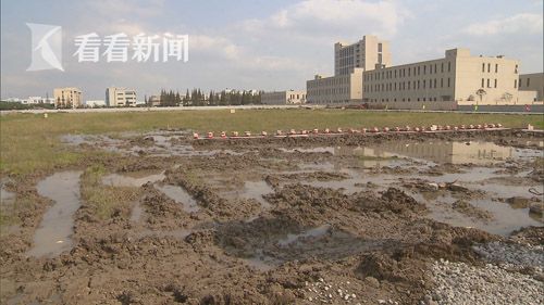 奉贤区获国内唯一中国化妆品产业之都称号 东