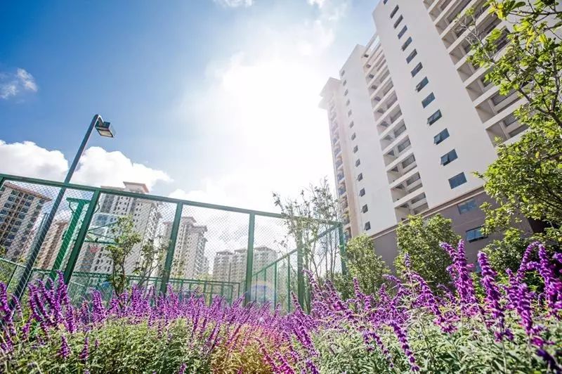 昆明首个板式公租房项目,俊福花城7108套房源