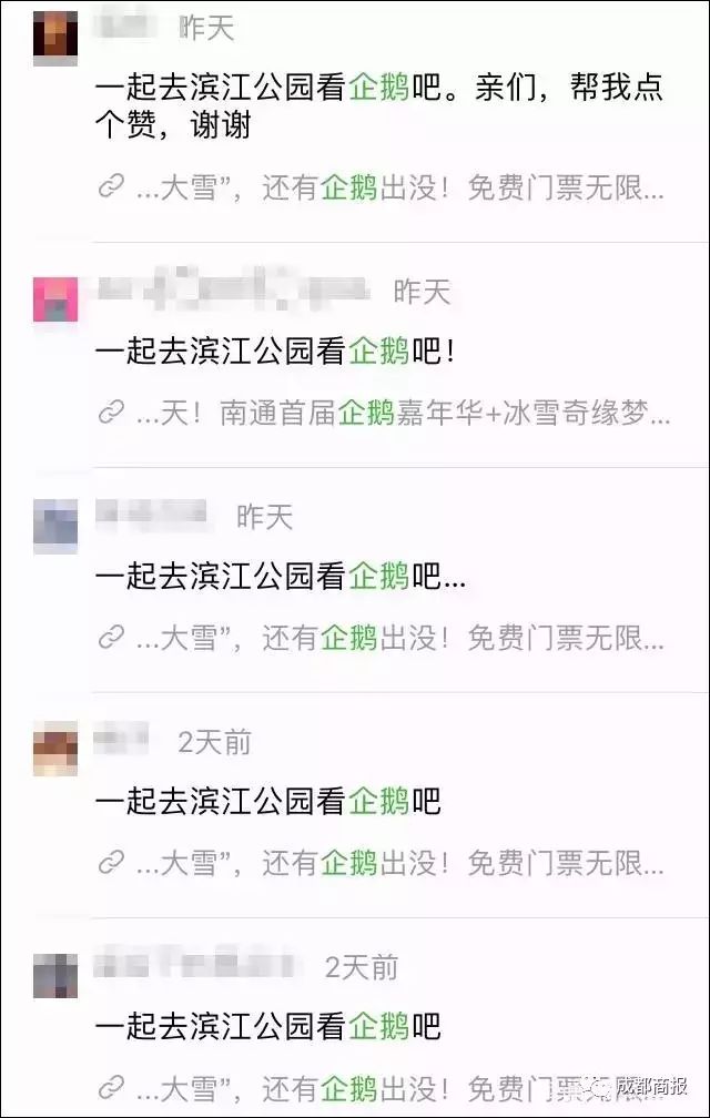 上万只企鹅展朋友圈点赞送门票,兴冲冲到现场