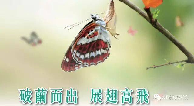 超过68%的海归挣得比预期少,留学还有用吗?