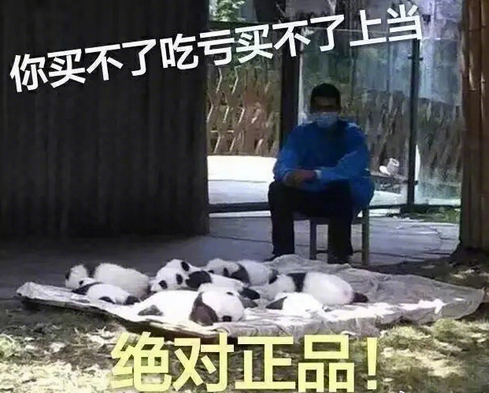 登录查看大图