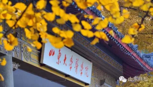 在这了,秋季就得看这景儿!|灵岩寺|黄河|山东大